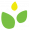 leaves5